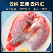 简鲜 三去净膛彩虹斑 400g*3条 彩虹鲷红罗非鱼