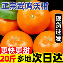 年货节:梦宛怡 广西武鸣沃柑 新鲜孕妇水果橘子柑橘 当季整箱礼盒装 净重5斤 单果60-65mm