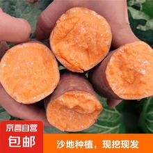 京喜加 现挖沙地蜜薯红薯新鲜农家糖心番薯烤地瓜软糯龙九黄心 红薯2斤装小果