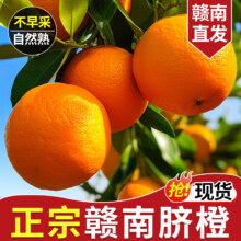 赣南脐橙 江西正宗赣州橙子 新鲜水果整箱 9-10斤装 单果200g-300g+ 手剥甜橙 榨汁 源头直采 产地直发