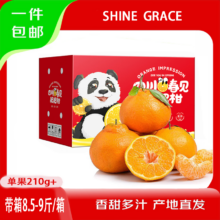 SHINE GRACE 四川春见耙耙柑送礼彩箱 净重8斤 单果210g+