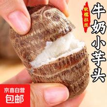 京喜加 山东牛奶芋头软糯 牛奶小芋头1000g