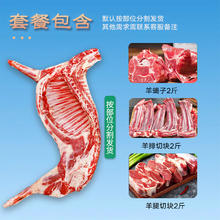 午羊 宁夏滩羊肉 半只羊排 净重6斤