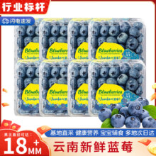 御京鲜 云南花香蓝莓 新鲜水果 100-125g*4盒 单果15mm+ 京选6A级 出口级品质