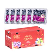 佳沃 云南蓝莓 巨无霸22mm+ 6盒装 约125g/盒 水果礼盒