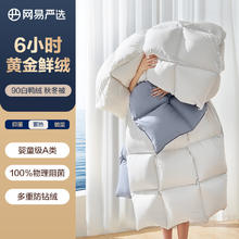 网易严选 A类90%羽绒母婴加厚被芯 90白鸭绒 四季被 220