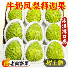 再降价：京愿 云南牛奶释迦果 精品果3斤装 单果130g+ 净重2.5斤