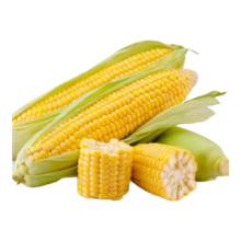 再降价：新鲜甜玉米水果玉米 可生食 产地直发 带箱2斤（单根300g+）