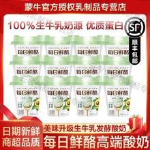 蒙牛 每日鲜酪风味酸奶 牛油果味 100g 12杯 低温发酵乳
