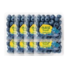 怡颗莓 秘鲁蓝莓 125g*6盒