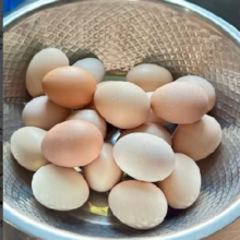 谷物鲜 鸡蛋 40±5克/枚 30枚