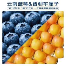 京运达 智利车厘子云南蓝莓新鲜水果应当季大樱桃345J整箱斤