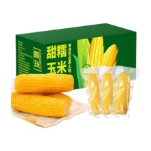 2025头茬东北黄甜糯玉米 小甜糯 220g*8支 真空装 甜玉米粒轻食早餐代餐