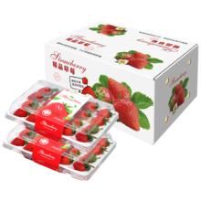 亨迅 草莓大凉山99红颜奶油草莓非丹东草莓甜现摘新鲜时令水果生鲜 2盒装丨净重600g