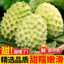 粤迎 牛奶凤梨释迦果 广西新鲜现摘 净2.5-3斤 单果100g+