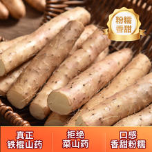 正宗河北铁棍山药 新鲜怀山药 药食同源 2斤 带箱 长度20cm-30cm