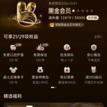 美团黑金/黑钻会员 会员中心 有免费保洁1小时和洗牙权益。