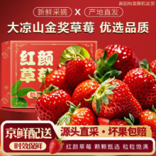 好媛好宇 草莓 大凉山99红颜 2斤装 S级精选 单果12g+ 净重1.2斤