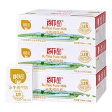 百菲酪 水牛纯奶