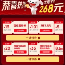 京东 268元生活券包（包含3张百补好运券）