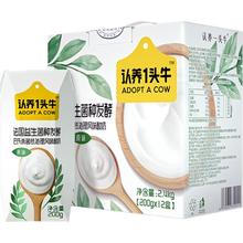今日必买、淘金币可用：认养一头牛 常温原味法式酸奶200g*12盒*2箱