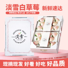 鲁禧 山东淡雪白草莓 250g/盒 20粒 奶油草莓 圣诞水果礼盒 空运多地次日达