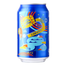 CHEERDAY 千岛湖啤酒 乐享时光 罐装啤酒 330ml 24罐