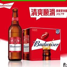 百威 啤酒600ml*12瓶玻璃瓶装拉格9.7°P啤酒整箱批发浓郁麦香