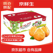 京鲜生 长城丑梨 净重4.5斤 单果250g+ 生鲜水果礼盒