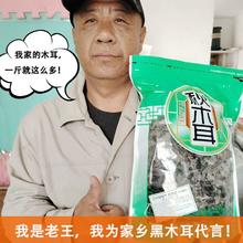 正宗东北长白山黑木耳干货优质椴木生非野生散装批发