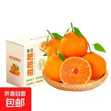 正宗春见耙耙柑-8斤净果