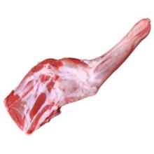 朔美羊 怀仁羊肉原切整只羊前腿3.5斤生鲜羔羊腿 3-4人中秋烧烤 源头直发