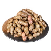 五香卤花生 带壳即食新鲜 500g/袋 1斤*1袋