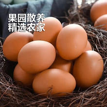 舌尖攻略 土鸡蛋 新鲜鸡蛋 农家散养 山林自养鸡蛋 10枚装总重400g+