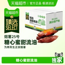 烟薯25号 糖心红薯 小果 2.8斤 单果50-150g
