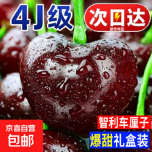 智利车厘子大樱桃水果礼盒 1斤净重 稀缺巨无霸5J颗颗精选