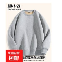 雪中飞 男士加绒加厚卫衣
