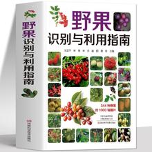《野果识别与利用指南》野菜图鉴常见野果名称品种植物图谱百科书