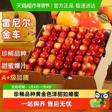 京运达 智利进口金黄车厘子雷尼尔水果整箱礼盒应当季大樱桃345J孕妇现货