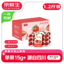 京鲜生 黔莓大凉山露天酸甜草莓 1.2斤 单果15g 生鲜水果 源头直发包邮