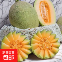 正宗山东哈密瓜 晓蜜17 新鲜现摘 当季甜瓜 3-3.5斤