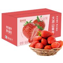 京觅 四川大凉山草莓2盒装 单果13g+ 净重600g 生鲜水果 源头直发