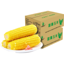 开源保丰 东北黄糯玉米 真空包装 头茬10支 250g-280g/支 即食代餐粗粮大棒礼盒