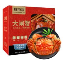 鲜京采鲜活大闸蟹 全母蟹2.5两 4对8只 去绳足重蟹类螃蟹礼盒源头直发