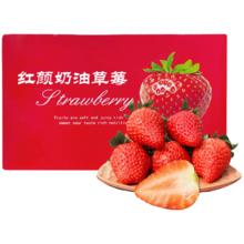 好媛好宇 大凉山草莓 99红颜草莓丹东 3斤装优选单果15g+净重2.4斤