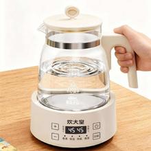 炊大皇COOKER KING HT-TNZK12液体加热器养生杯1.2L