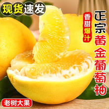 粤迎 正宗爆汁黄金葡萄柚 新鲜薄皮蜜柚 9斤精选果 净8.5斤