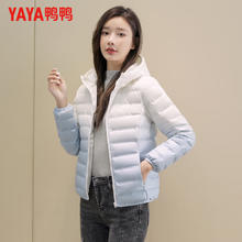 鸭鸭羽绒服 鸭鸭（YAYA）羽绒服 女款连帽渐变轻便休闲时尚百搭外套 新年礼物
