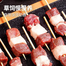 大希地 不限购 羊肉串240g*1袋（牛肉串烧鸟串等十几种任选）