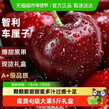 京运达 智利进口车厘子 j级5斤